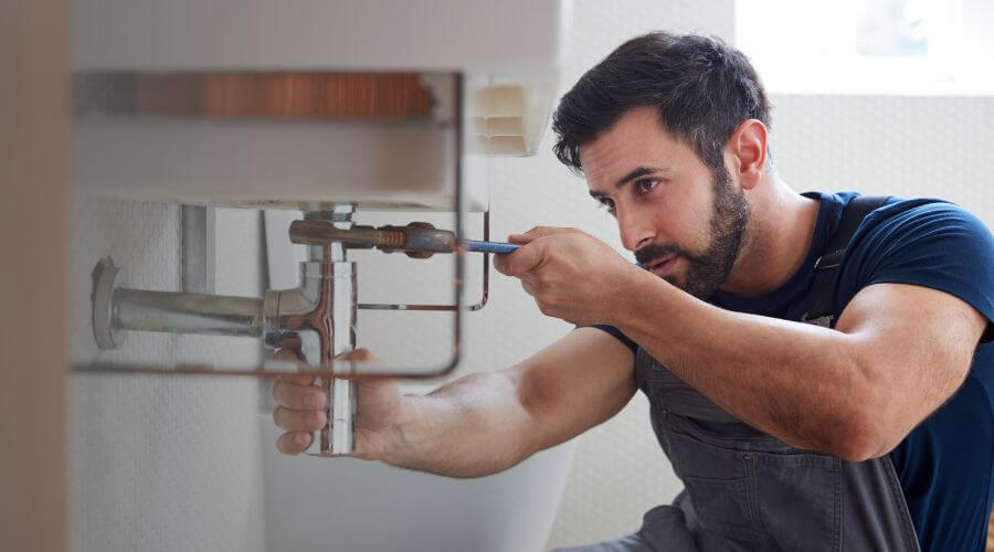 Trap Repair/Replacement in Bailey, MI
